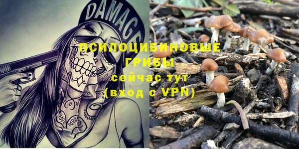 трава Володарск