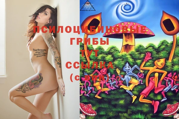 дживик Волоколамск