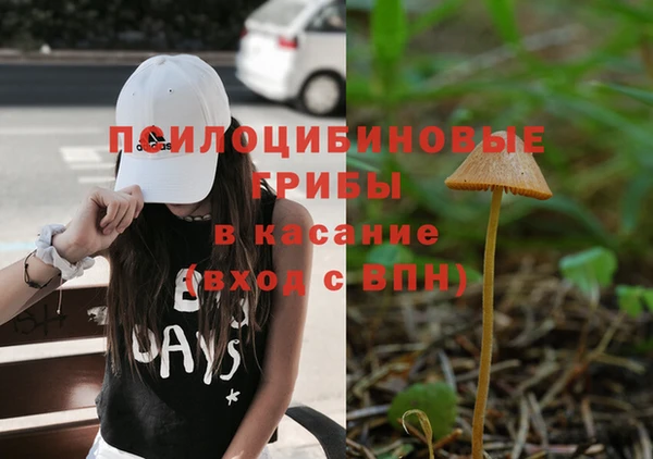 mdma Бородино